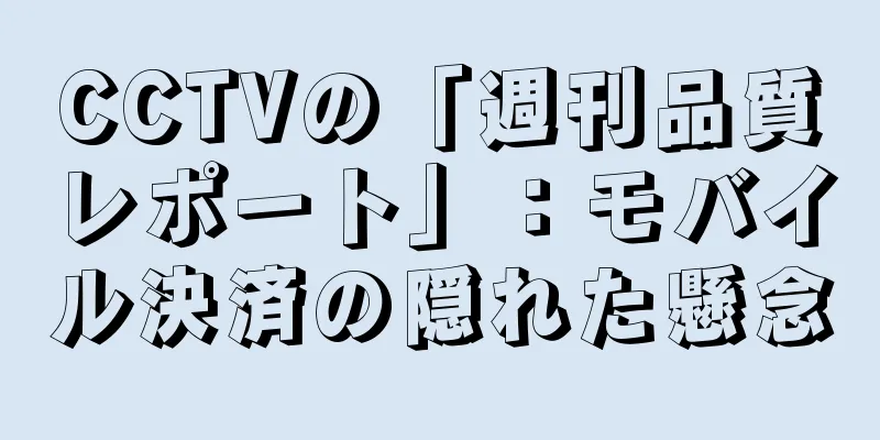 CCTVの「週刊品質レポート」：モバイル決済の隠れた懸念