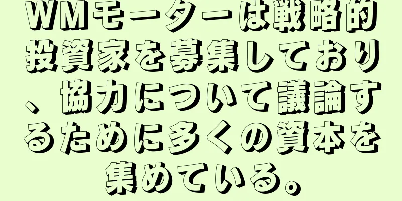 WMモーターは戦略的投資家を募集しており、協力について議論するために多くの資本を集めている。