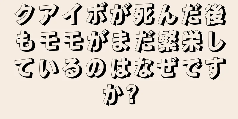 クアイボが死んだ後もモモがまだ繁栄しているのはなぜですか?