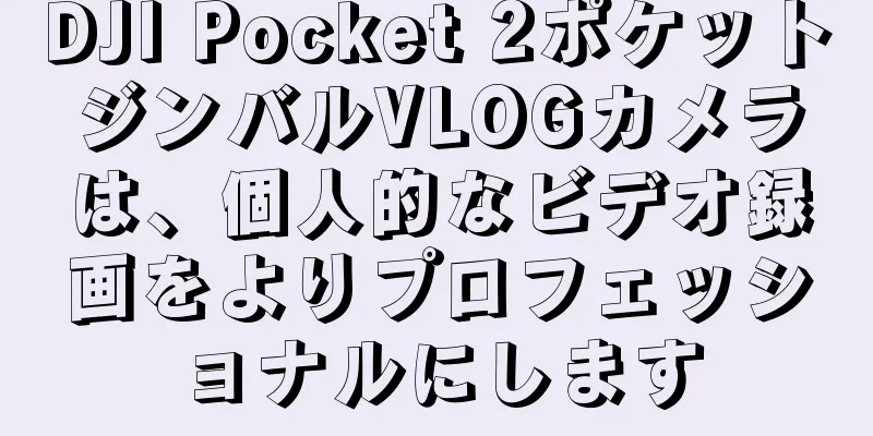 DJI Pocket 2ポケットジンバルVLOGカメラは、個人的なビデオ録画をよりプロフェッショナルにします