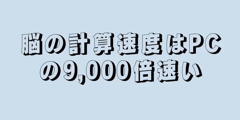 脳の計算速度はPCの9,000倍速い