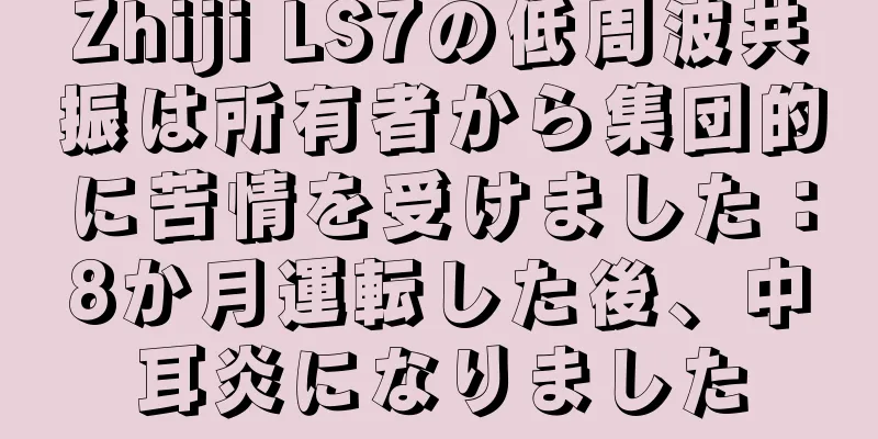Zhiji LS7の低周波共振は所有者から集団的に苦情を受けました：8か月運転した後、中耳炎になりました