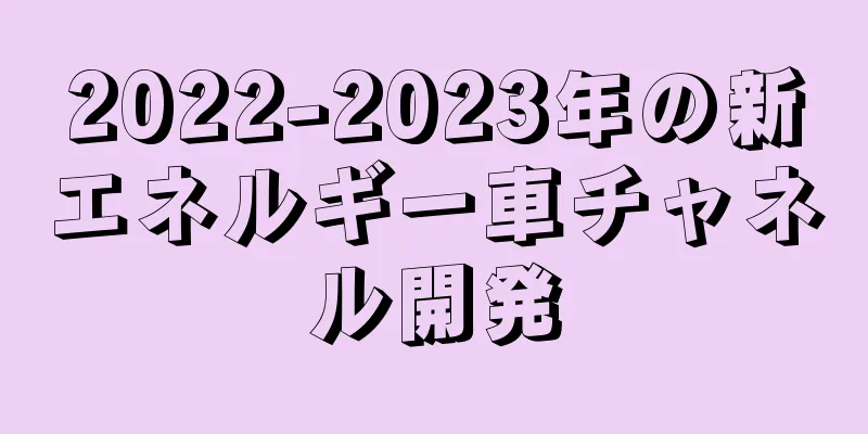 2022-2023年の新エネルギー車チャネル開発