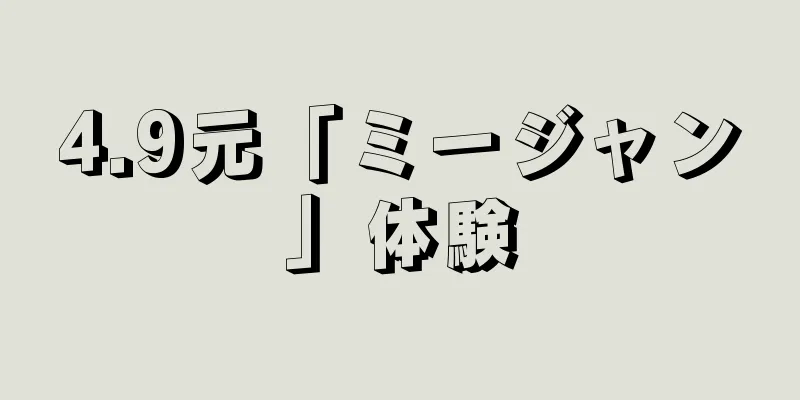 4.9元「ミージャン」体験