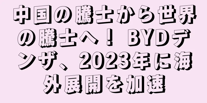 中国の騰士から世界の騰士へ！ BYDデンザ、2023年に海外展開を加速