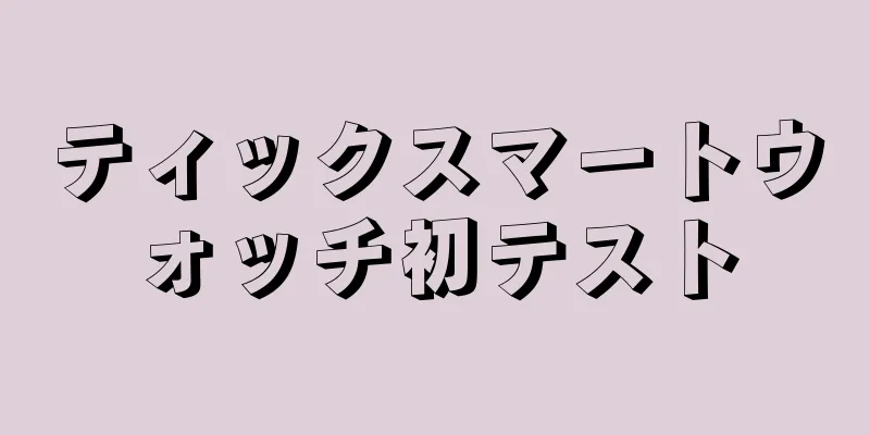 ティックスマートウォッチ初テスト