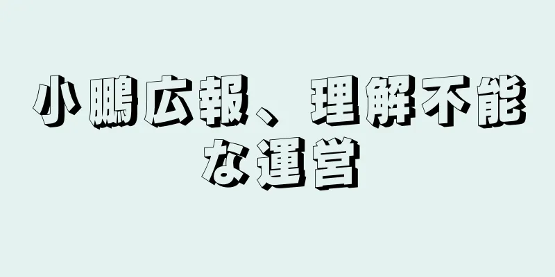 小鵬広報、理解不能な運営