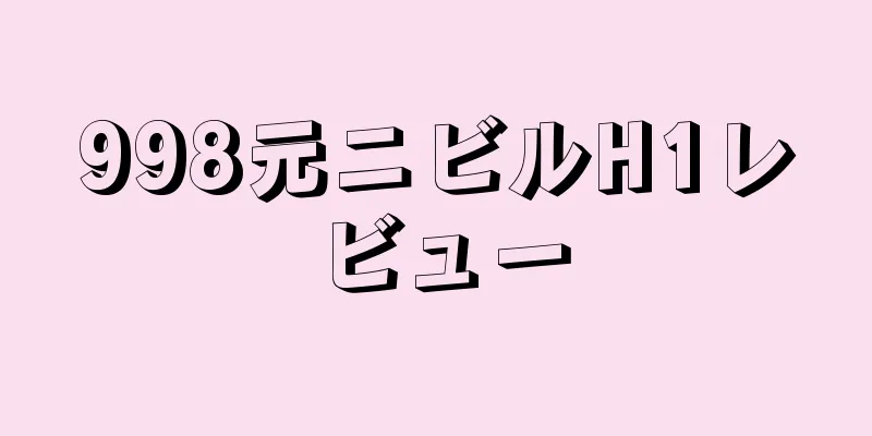 998元ニビルH1レビュー