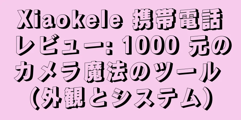 Xiaokele 携帯電話レビュー: 1000 元のカメラ魔法のツール (外観とシステム)