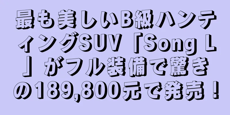 最も美しいB級ハンティングSUV「Song L」がフル装備で驚きの189,800元で発売！