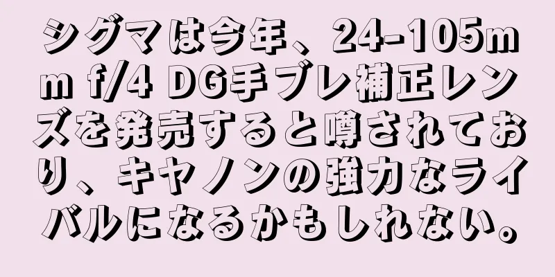 シグマは今年、24-105mm f/4 DG手ブレ補正レンズを発売すると噂されており、キヤノンの強力なライバルになるかもしれない。