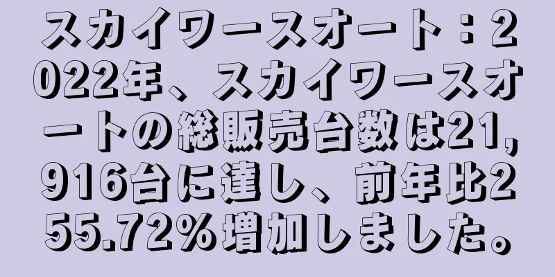 スカイワースオート：2022年、スカイワースオートの総販売台数は21,916台に達し、前年比255.72%増加しました。