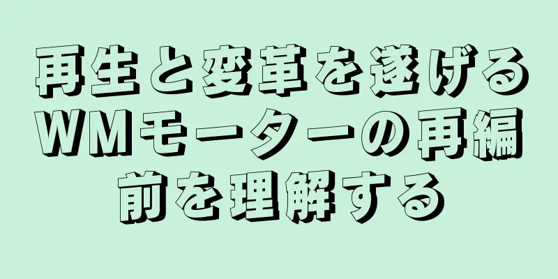 再生と変革を遂げるWMモーターの再編前を理解する