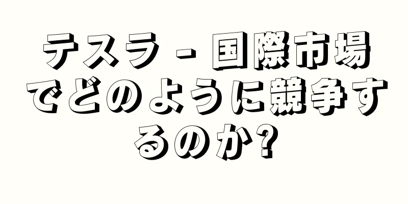 テスラ - 国際市場でどのように競争するのか?