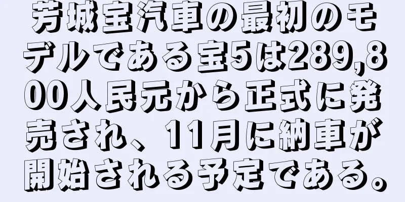 芳城宝汽車の最初のモデルである宝5は289,800人民元から正式に発売され、11月に納車が開始される予定である。