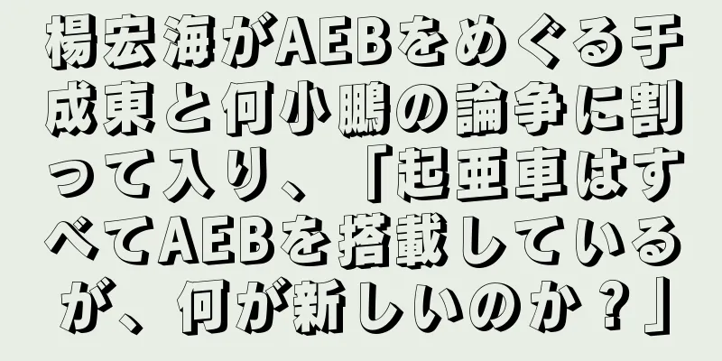 楊宏海がAEBをめぐる于成東と何小鵬の論争に割って入り、「起亜車はすべてAEBを搭載しているが、何が新しいのか？」