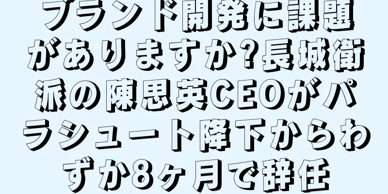 ブランド開発に課題がありますか?長城衛派の陳思英CEOがパラシュート降下からわずか8ヶ月で辞任
