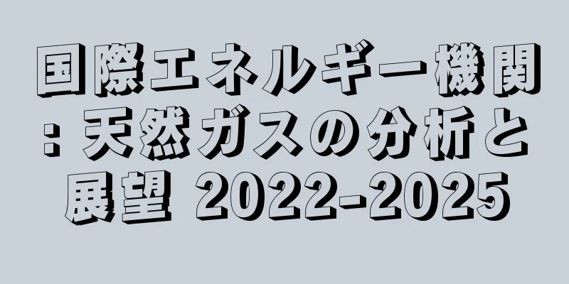 国際エネルギー機関: 天然ガスの分析と展望 2022-2025