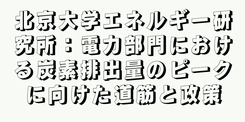 北京大学エネルギー研究所：電力部門における炭素排出量のピークに向けた道筋と政策