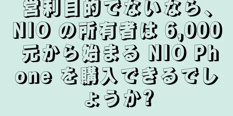 営利目的でないなら、NIO の所有者は 6,000 元から始まる NIO Phone を購入できるでしょうか?