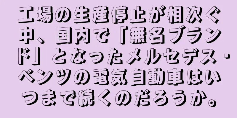 工場の生産停止が相次ぐ中、国内で「無名ブランド」となったメルセデス・ベンツの電気自動車はいつまで続くのだろうか。