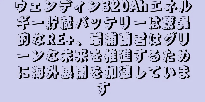ウェンディン320Ahエネルギー貯蔵バッテリーは驚異的なRE+、瑞浦蘭君はグリーンな未来を推進するために海外展開を加速しています