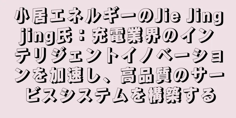 小居エネルギーのJie Jingjing氏：充電業界のインテリジェントイノベーションを加速し、高品質のサービスシステムを構築する
