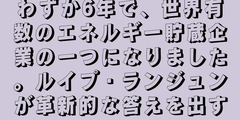 わずか6年で、世界有数のエネルギー貯蔵企業の一つになりました。ルイプ・ランジュンが革新的な答えを出す