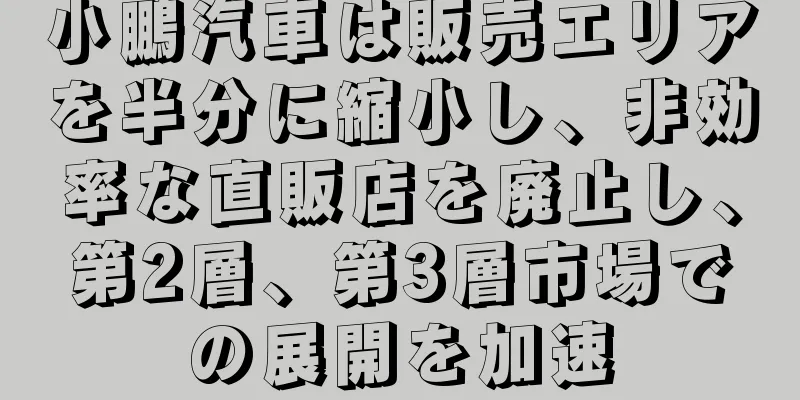 小鵬汽車は販売エリアを半分に縮小し、非効率な直販店を廃止し、第2層、第3層市場での展開を加速