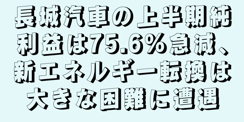 長城汽車の上半期純利益は75.6%急減、新エネルギー転換は大きな困難に遭遇