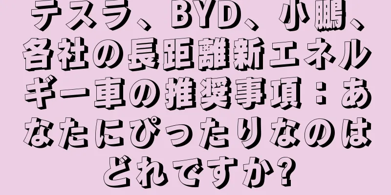 テスラ、BYD、小鵬、各社の長距離新エネルギー車の推奨事項：あなたにぴったりなのはどれですか?