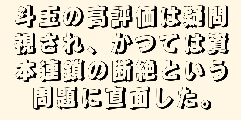 斗玉の高評価は疑問視され、かつては資本連鎖の断絶という問題に直面した。