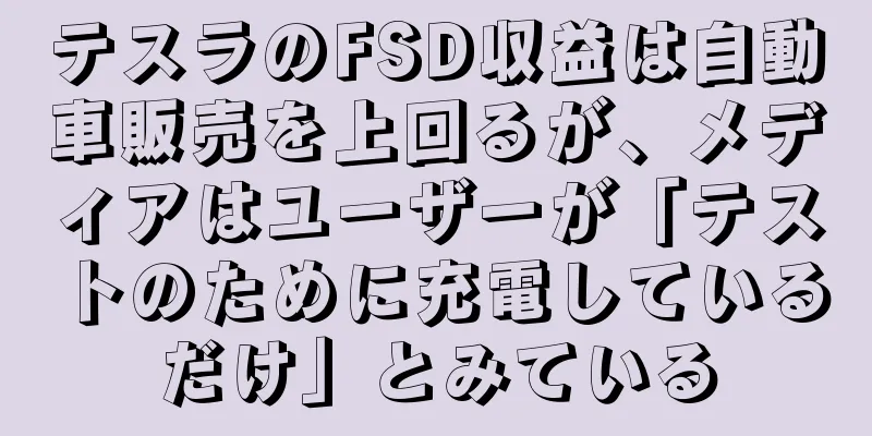 テスラのFSD収益は自動車販売を上回るが、メディアはユーザーが「テストのために充電しているだけ」とみている