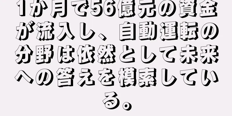 1か月で56億元の資金が流入し、自動運転の分野は依然として未来への答えを模索している。