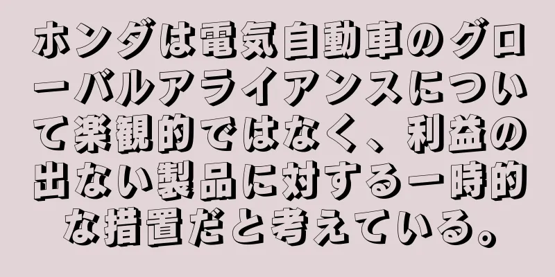 ホンダは電気自動車のグローバルアライアンスについて楽観的ではなく、利益の出ない製品に対する一時的な措置だと考えている。