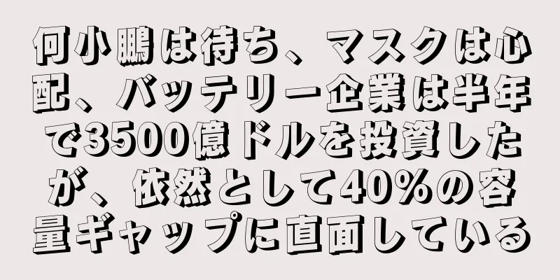 何小鵬は待ち、マスクは心配、バッテリー企業は半年で3500億ドルを投資したが、依然として40％の容量ギャップに直面している