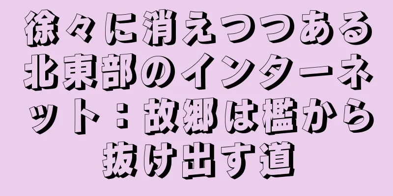 徐々に消えつつある北東部のインターネット：故郷は檻から抜け出す道