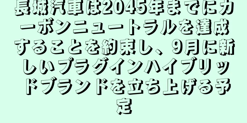 長城汽車は2045年までにカーボンニュートラルを達成することを約束し、9月に新しいプラグインハイブリッドブランドを立ち上げる予定