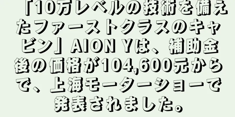 「10万レベルの技術を備えたファーストクラスのキャビン」AION Yは、補助金後の価格が104,600元からで、上海モーターショーで発表されました。