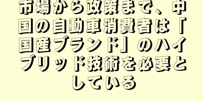 市場から政策まで、中国の自動車消費者は「国産ブランド」のハイブリッド技術を必要としている