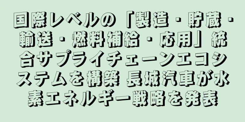 国際レベルの「製造・貯蔵・輸送・燃料補給・応用」統合サプライチェーンエコシステムを構築 長城汽車が水素エネルギー戦略を発表