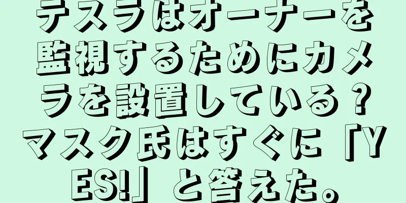テスラはオーナーを監視するためにカメラを設置している？マスク氏はすぐに「YES!」と答えた。