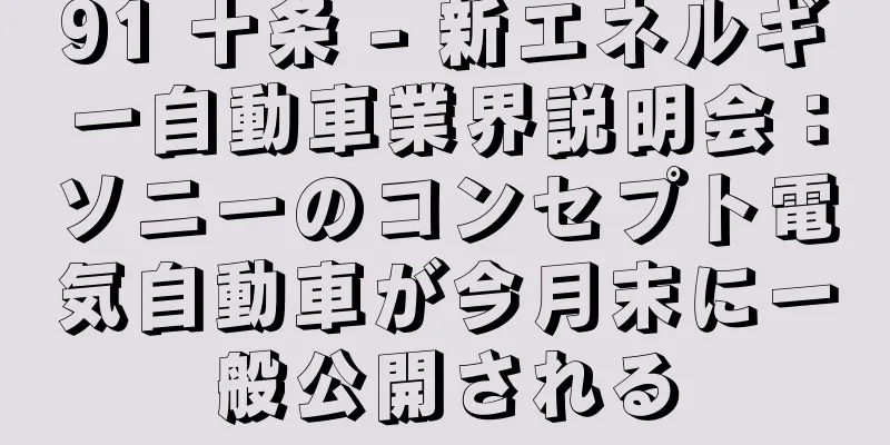 91 十条 - 新エネルギー自動車業界説明会：ソニーのコンセプト電気自動車が今月末に一般公開される