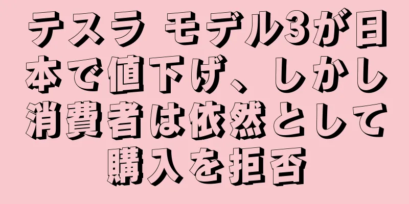 テスラ モデル3が日本で値下げ、しかし消費者は依然として購入を拒否