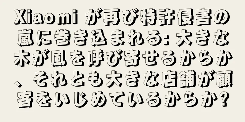 Xiaomi が再び特許侵害の嵐に巻き込まれる: 大きな木が風を呼び寄せるからか、それとも大きな店舗が顧客をいじめているからか?