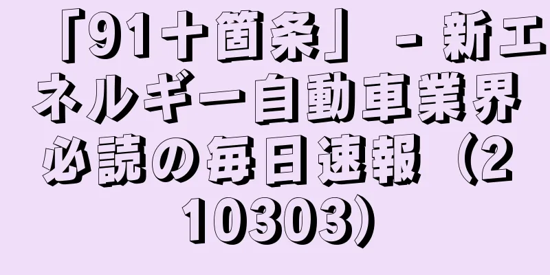 「91十箇条」 - 新エネルギー自動車業界必読の毎日速報（210303）