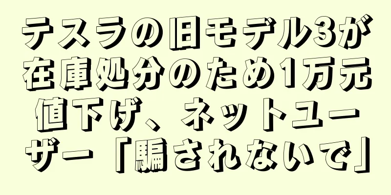 テスラの旧モデル3が在庫処分のため1万元値下げ、ネットユーザー「騙されないで」