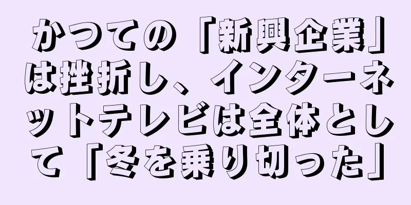 かつての「新興企業」は挫折し、インターネットテレビは全体として「冬を乗り切った」