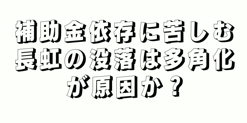 補助金依存に苦しむ長虹の没落は多角化が原因か？