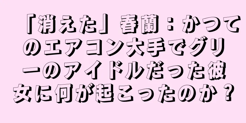 「消えた」春蘭：かつてのエアコン大手でグリーのアイドルだった彼女に何が起こったのか？